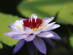 -国家植物园南园