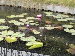 -西湖国宾馆·紫薇厅