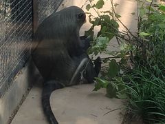 -石家庄市动物园