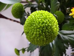 -汇龙潭