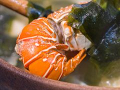 滋补小青龙锅-丁字口海鲜热炒·烧烤大排档