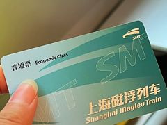 -龙阳路磁悬浮列车总站-停车场