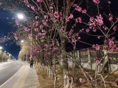 -中国政法大学(昌平校区)
