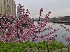 -西安汉城湖景区