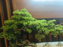 -湘水滨·臭鳜鱼·湘菜(马驹桥店)