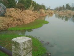 -瑶湖郊野森林公园