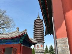 -西海子公园