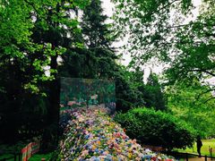 -上海共青森林公园