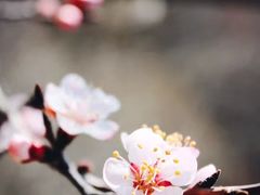 -北京密云天门山风景区