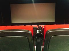 -大地影院(雅安灯塔魅力印象店)