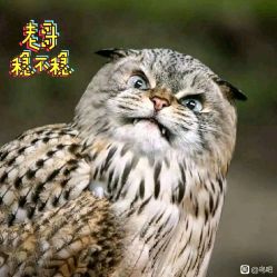-德加芭蕾·舞蹈培训