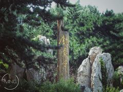 -钓鱼台国宾馆