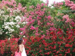 -杭州城北体育公园