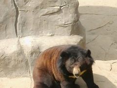 -石家庄市动物园