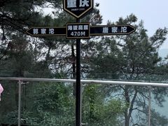 -铁山坪森林公园