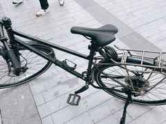 -xds喜德盛自行车(滴水湖店)