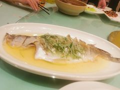 -同济大酒店(绿宝广场店)