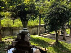 -中国大熊猫保护研究中心雅安碧峰峡基地