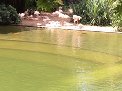 -九龙公园