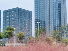 -映月湖中央公园
