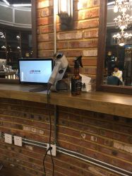 点击看大图 -MOGA造型沙龙