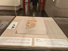 -北京大学赛克勒考古与艺术博物馆
