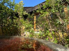 -仁爱团泊湖温泉中心