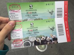-成都大熊猫繁育研究基地