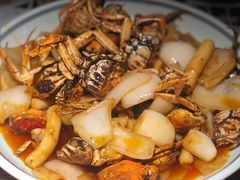 -周家二小姐的菜·扬州菜·香炒蟹·狮子头(江都金鹰店)