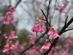 -福道