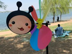 -丁香湖公园