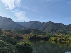 -龙坞茶村