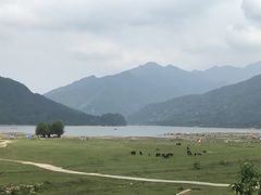 -罗坑大草原
