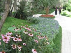 -金掌勺东北菜(格兰晴天店)