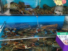 -港畔赶海蒸汽海鲜烧烤自助(仙螺岛店)