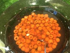 iphone_upload_pic-多喜客海鲜烤肉自助烤场(百花红楼店)