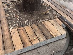 -漳州佰翔圆山酒店·圆山畔西餐厅