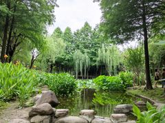 -陈家山荷花公园