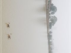 -艾溪湖湿地公园