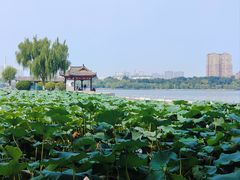 -济南大明湖景区