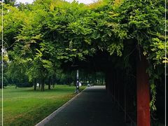 -洛阳市隋唐城遗址植物园