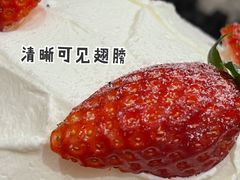 -迦南·甜品蛋糕(传媒店)