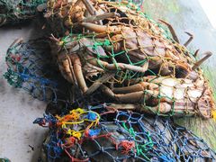-班达拉奈克国际机场