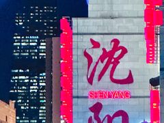 -中街·盛京龙城