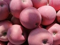 -江杨农产品批发市场