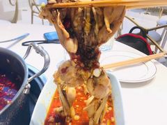 -蛙两只美蛙鱼头火锅(恒茂店)