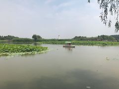 -白洋淀景区
