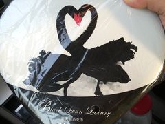 -BLACKSWAN黑天鹅(环球店)