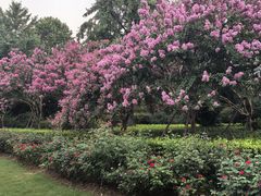 -杭州城北体育公园