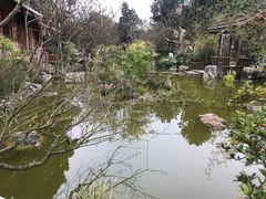 -南山植物园